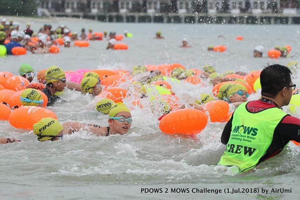 1-Session Open Water Program